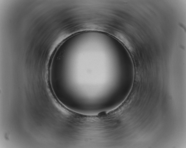 X0000098211136200804241315