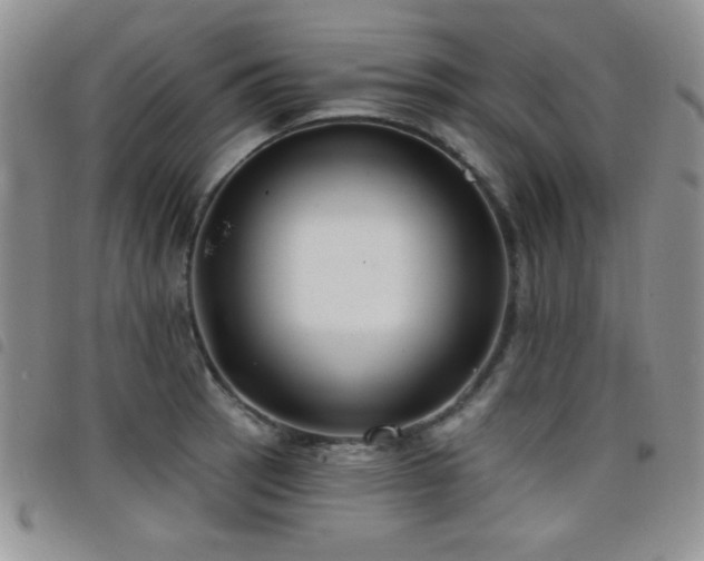 X0000098211137200804241315