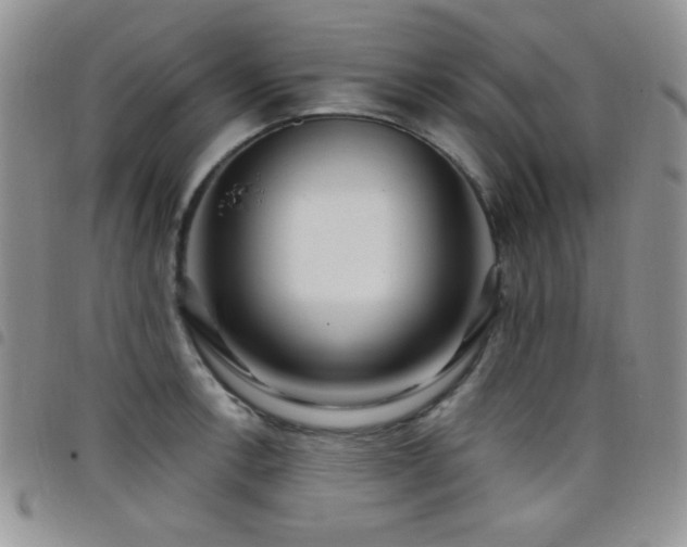 X0000098211138200804241315