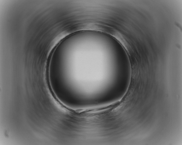 X0000098211139200804241315
