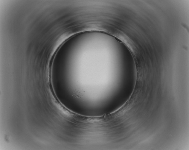 X0000098211140200804241315