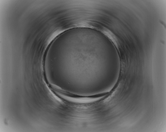 X0000098211141200804241315