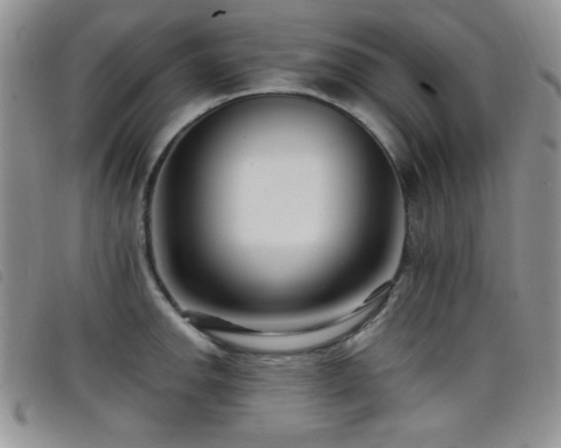 X0000098211142200804241315