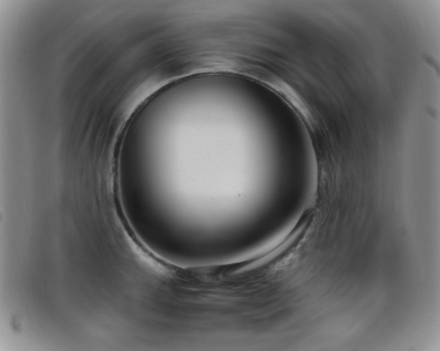 X0000098211143200804241315