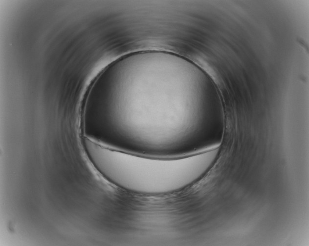 X0000098211144200804241315