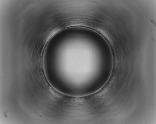 X0000098211145200804241315