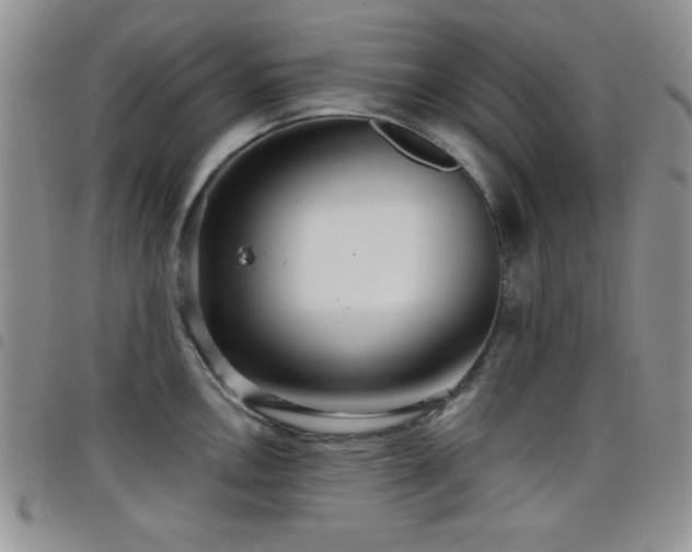 X0000098211146200804241315