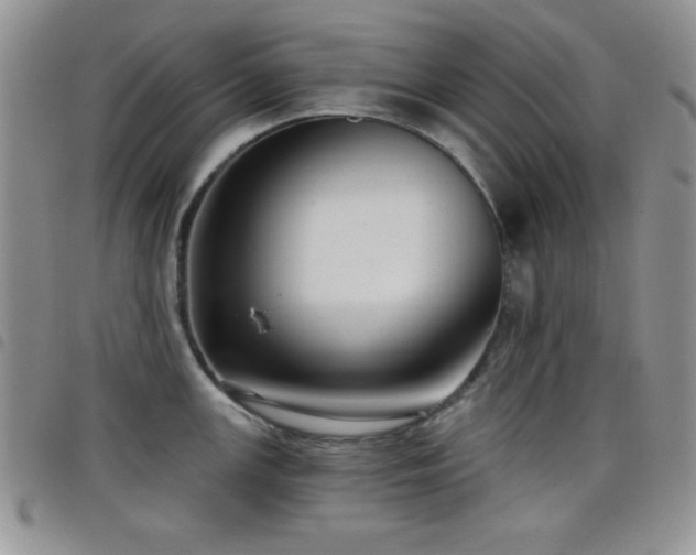 X0000098211147200804241315