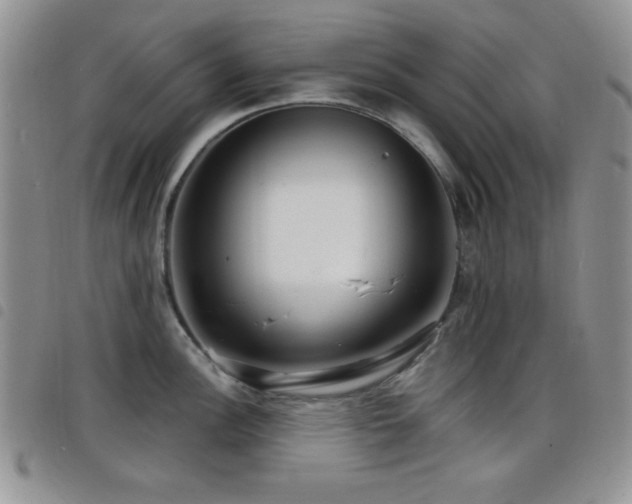 X0000098211148200804241315