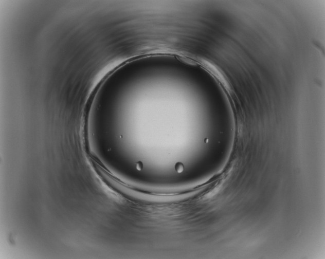 X0000098211149200804241315