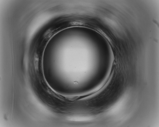 X0000098211151200804241315