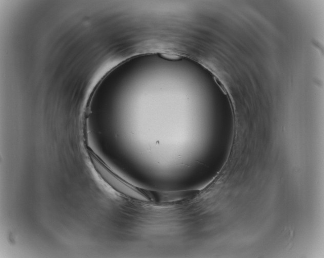 X0000098211152200804241315