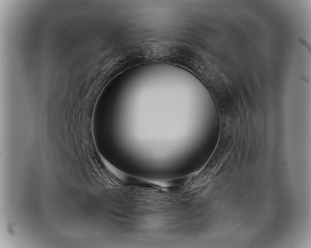 X0000098211153200804241314