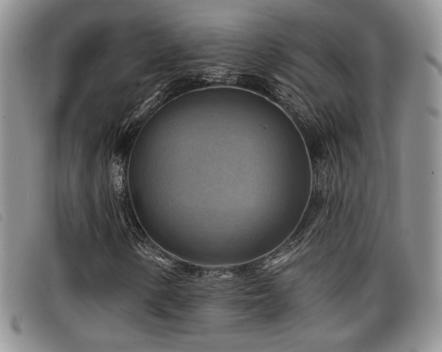 X0000098211154200804241314