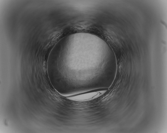 X0000098211156200804241314