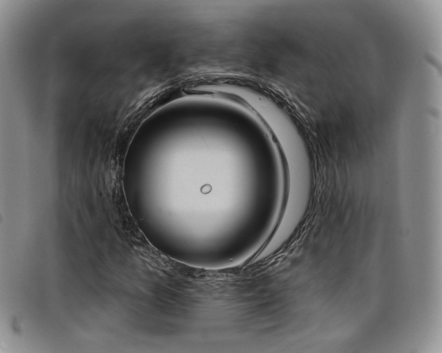 X0000098211157200804241314