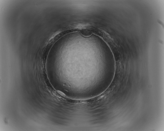 X0000098211158200804241314