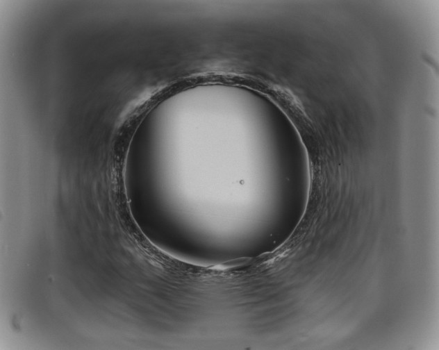 X0000098211159200804241314