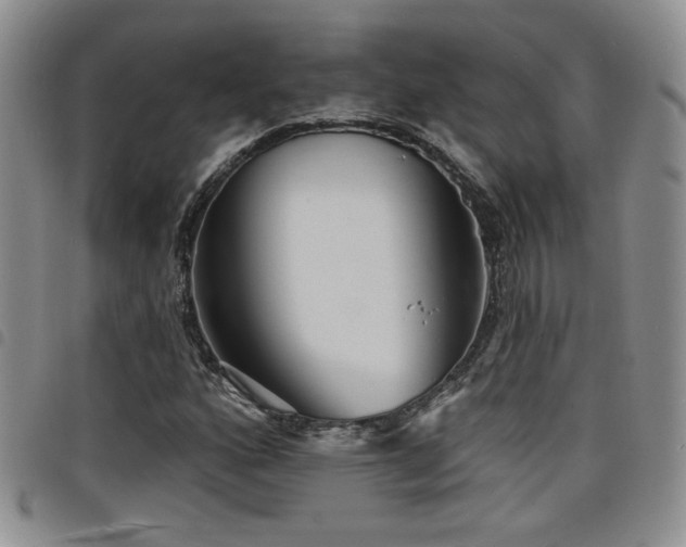 X0000098211160200804241314