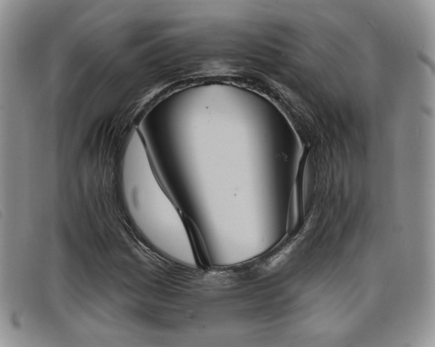 X0000098211161200804241314