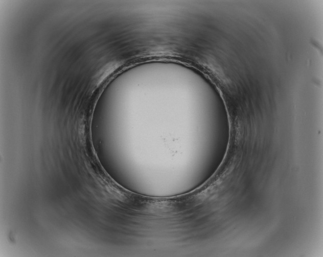 X0000098211162200804241314