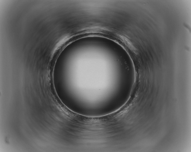 X0000098211164200804241314