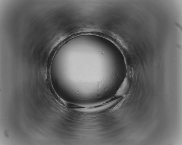 X0000098211165200804241314