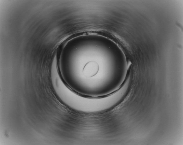 X0000098211169200804241314