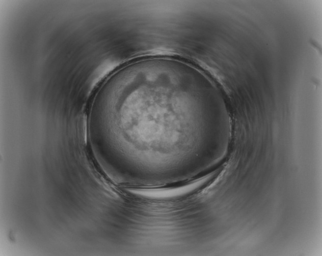 X0000098211171200804241314