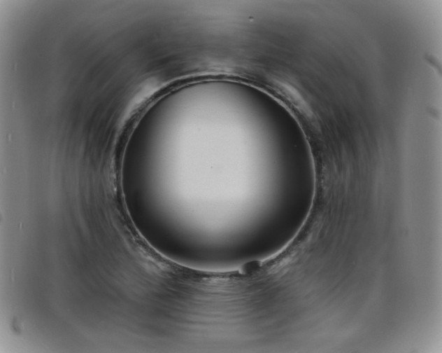 X0000098211172200804241314