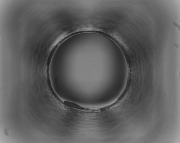 X0000098211173200804241314