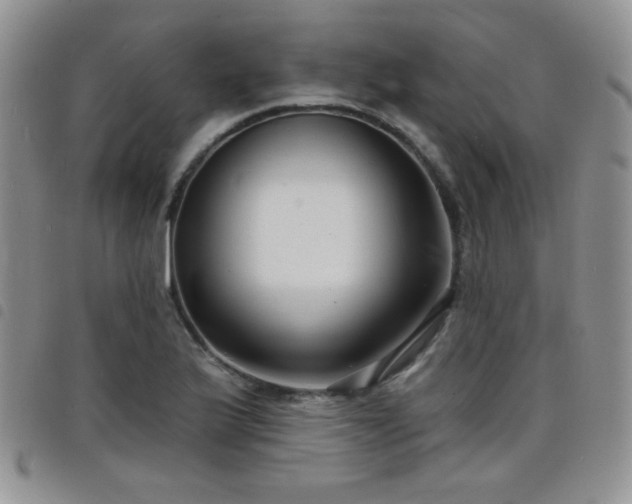 X0000098211175200804241314