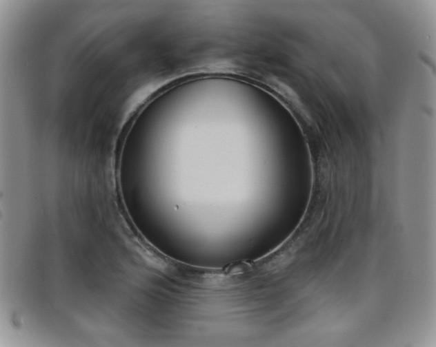 X0000098211176200804241314