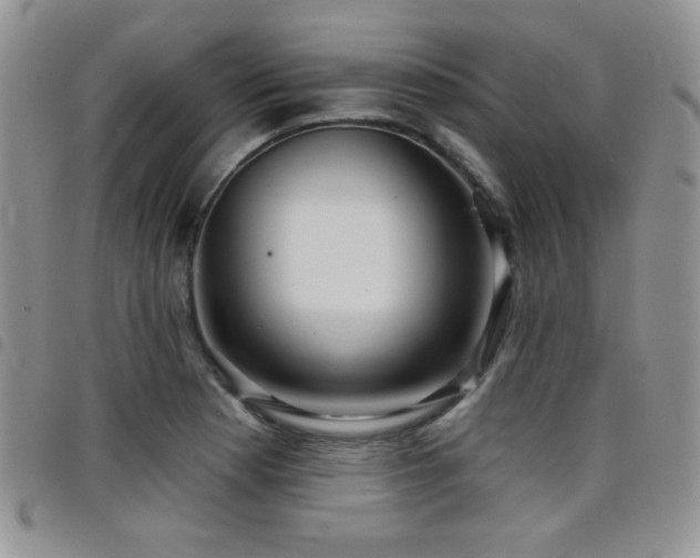 X0000098211177200804241314