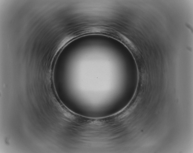 X0000098211178200804241314