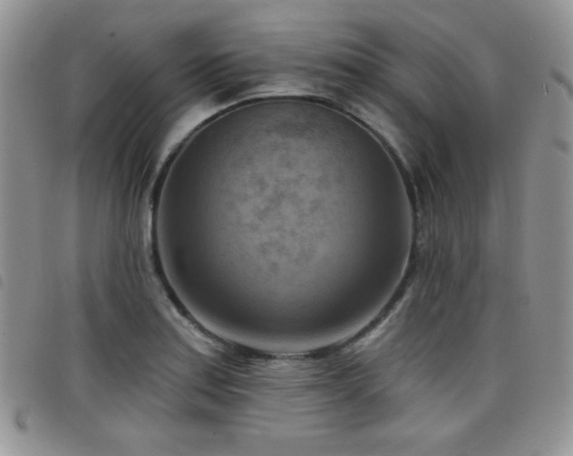 X0000098211179200804241314