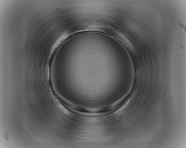 X0000098211180200804241314