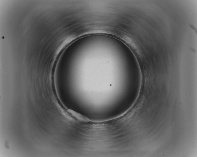 X0000098211181200804241314