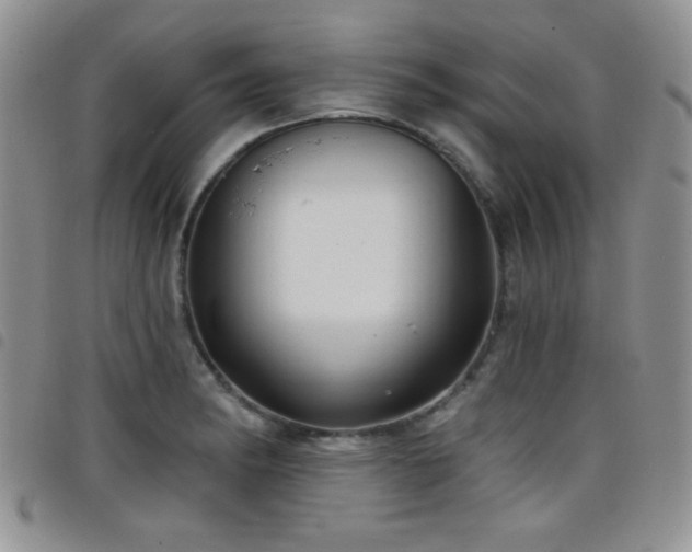 X0000098211182200804241314