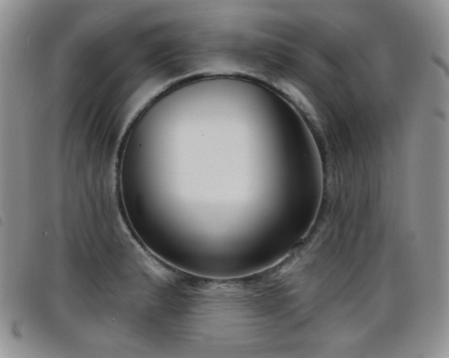 X0000098211183200804241314