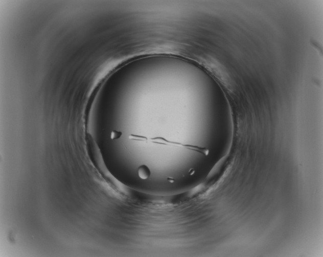 X0000098211184200804241314