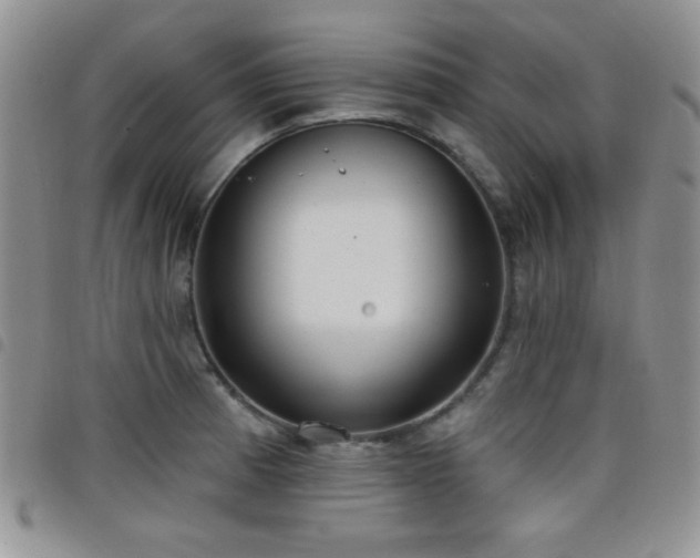X0000098211185200804241314