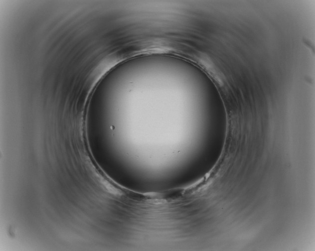 X0000098211186200804241314