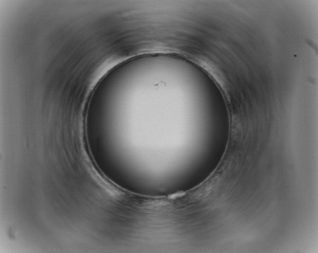 X0000098211187200804241314