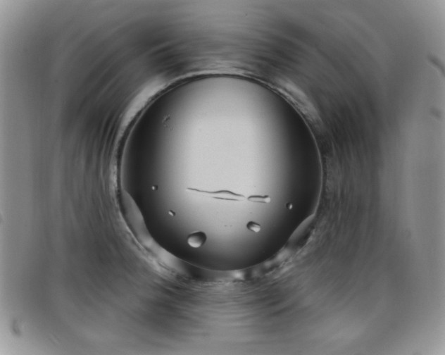 X0000098211188200804241314