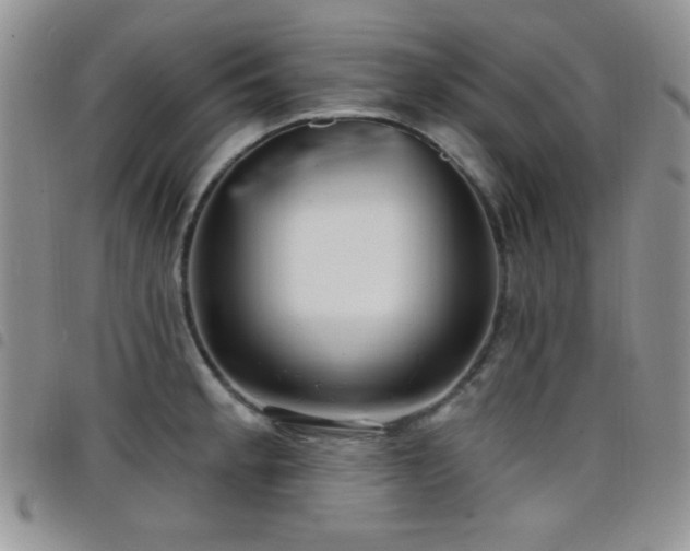 X0000098211189200804241314