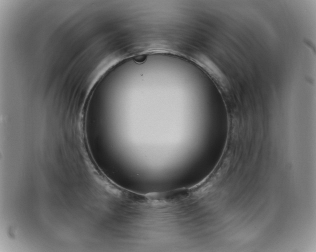 X0000098211190200804241314