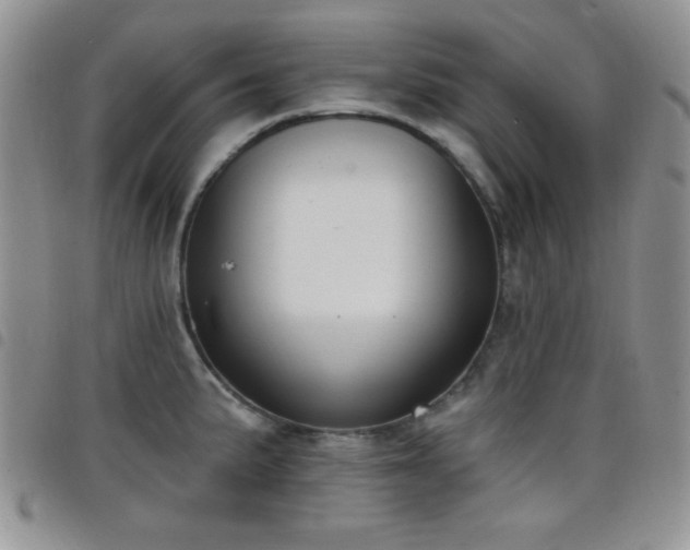 X0000098211191200804241314