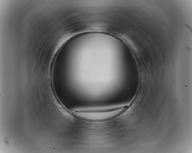 X0000098211192200804241314