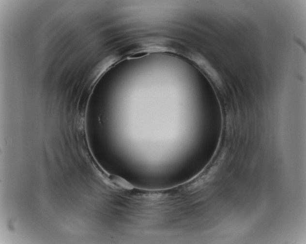 X0000098211193200804241314